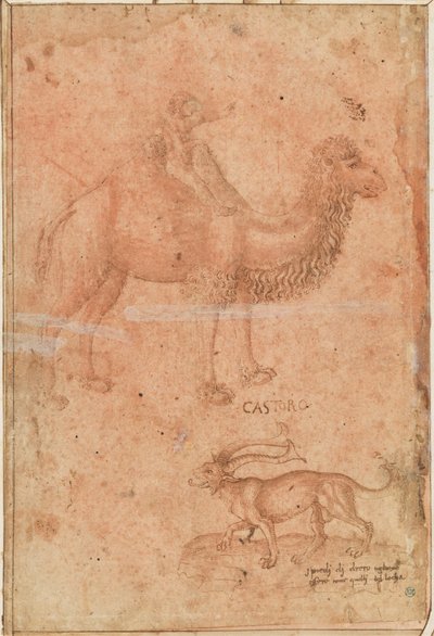 Ein Kamel mit einem reitenden Kind. Darunter ein fabelhaftes Tier (Castoro) tekijältä Paolo Uccello
