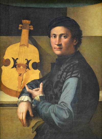Nuoren muotokuvan muotokuva tekijältä Paolo Zacchia the Elder