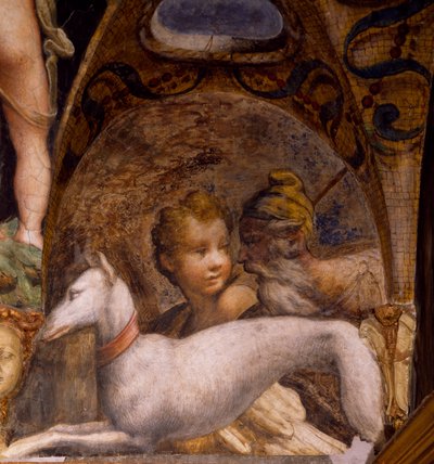 Koira ja metsästäjä Dianan myytistä ja Actaeonista tekijältä Parmigianino