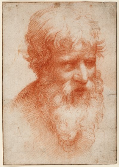 Oikealta katsovan parrakkaan miehen pää, n. 1523-25 (punainen liitu paperilla) tekijältä Parmigianino (1503 40)