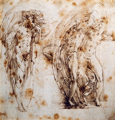 Vulcanin kosto tekijältä Parmigianino