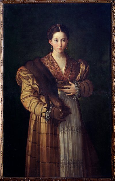 Antea edustaa kuningas Proetoksen Sthenebeeen vaimoa, hän rakastuu Bellerophoniin (Stheneboean tai Stheneboian muotokuva, Proteuksen puoliso) - Girolamo Francesco Maria Mazzola dit Parmigianino tai Parmesan (1503-1540) -15530ee. tekijältä Parmigianino