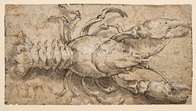 Rapu (recto) tekijältä Parmigianino