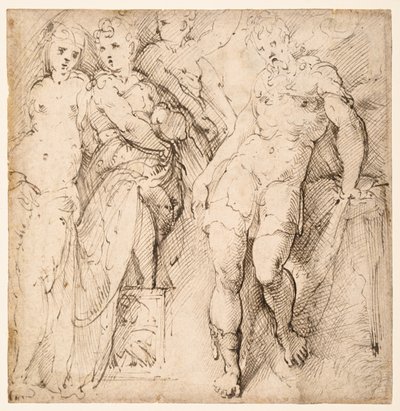 Neljä figuuritutkimusta (recto) tekijältä Parmigianino