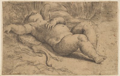 Cupid Sleeping, 1500-luku. tekijältä Parmigianino