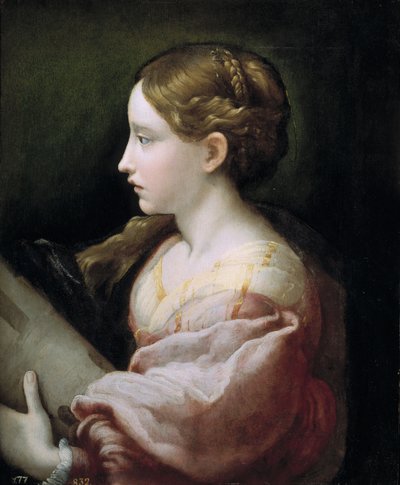 Pyhä Barbara tekijältä Parmigianino