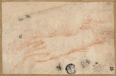 Vasemman käden ja ranteen luonnos tekijältä Parmigianino