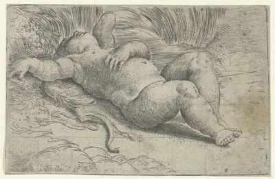 Nukkuva Amor tekijältä Parmigianino