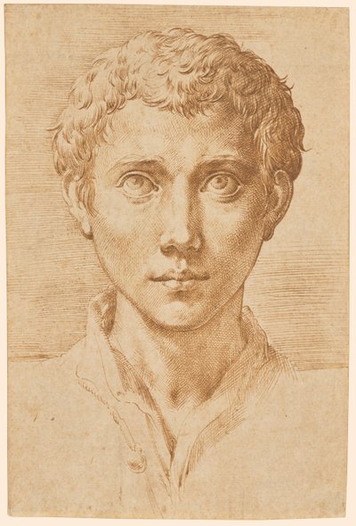 Nuoren miehen pää tekijältä Parmigianino