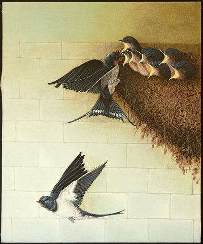 Nälkäiset suut, 2011 (akryyli kalikolle) tekijältä Pat Scott
