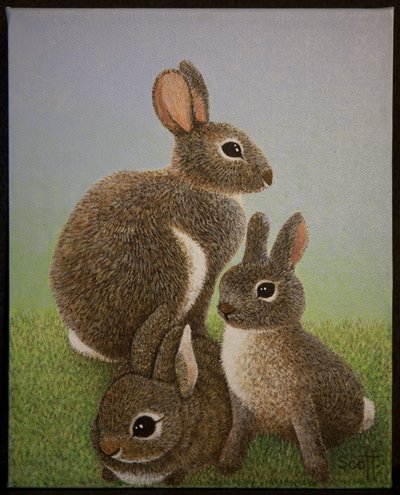 Rabbit Family, 2016 tekijältä Pat Scott