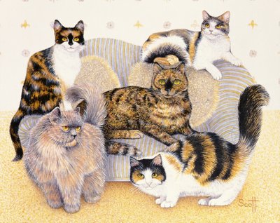 Tortoiseshell naiset tekijältä Pat Scott