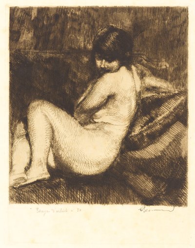 Sulkainen turbaani Sulkainen turbaani, 1901. tekijältä Paul Albert Besnard