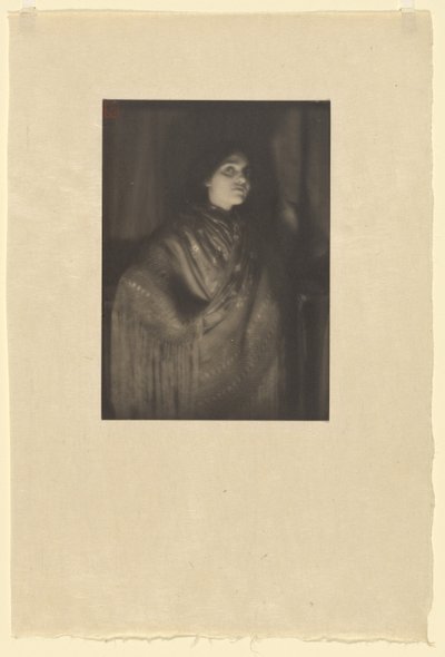 Muotokuva Rose Cohenista espanjalaisessa huivissa / Rose Cohen, espanjalainen huivi tekijältä Paul B. Haviland