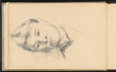 Rouva Cezanne tekijältä Paul Cézanne