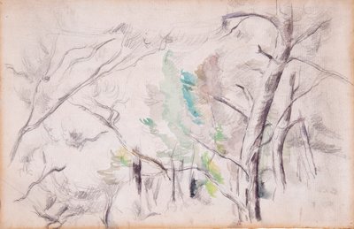 Puut [suoraan]; Encagnane Pilon du Roin kanssa [takaisin] tekijältä Paul Cézanne