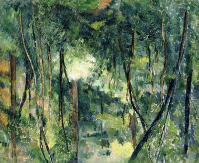 Aluskasvillisuus, n. 1885 tekijältä Paul Cézanne