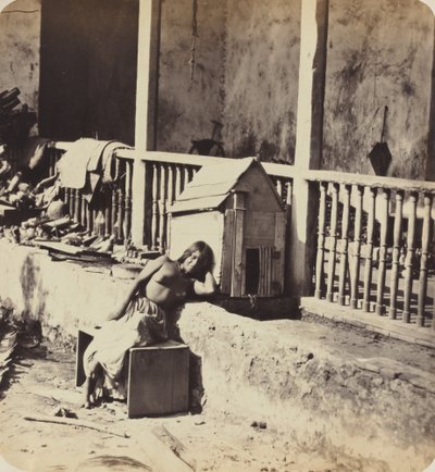 Garvelin koira (Martinique) tekijältä Paul Emile Miot