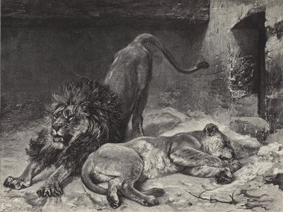 Leijonan herääminen tekijältä Paul Friedrich Meyerheim
