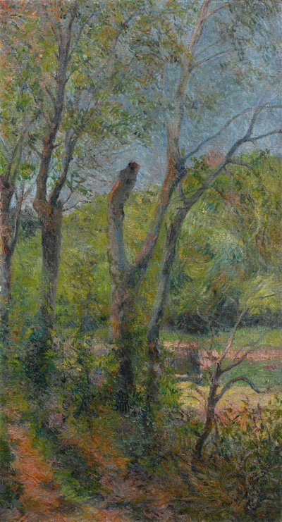 Ranskalainen:  Les Saules Willows tekijältä Paul Gauguin