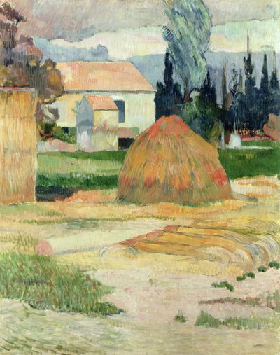 Maisema lähellä Arles tekijältä Paul Gauguin