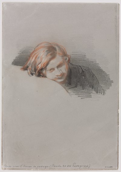 Nuoren miehen tutkimuksen johtaja LOiseau de passagelle, 1853. tekijältä Paul Gavarni