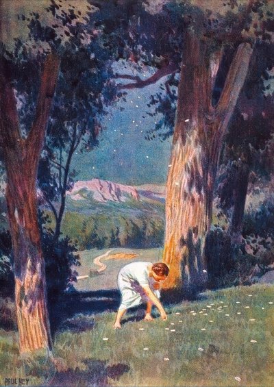 Tähtiraha tekijältä Paul Hey