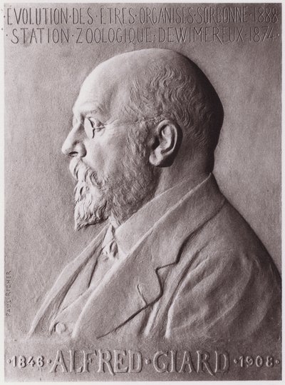 Alfred Giard (1846-1908), eläintieteilijä, muotokuva (litho) tekijältä Paul Marie Louis Pierre Richer