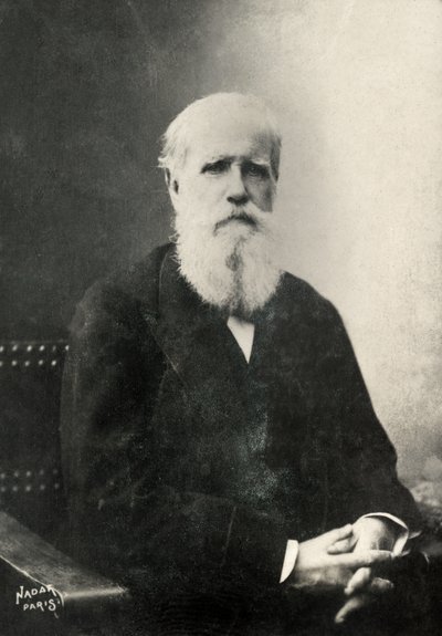 Dom Pedro , Brasilian keisarin muotokuva (kuva) tekijältä Paul Nadar