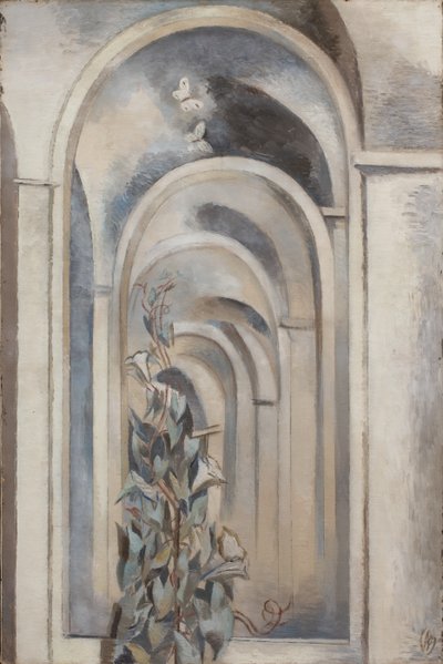 Convolvulus tekijältä Paul Nash