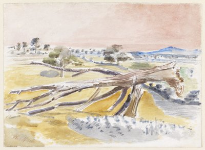 Monster Field, tutkimus II tekijältä Paul Nash