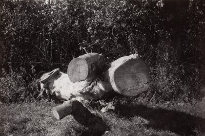 Kohteen etsiminen tekijältä Paul Nash