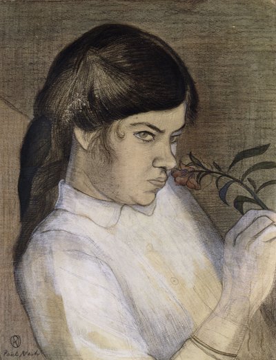 Muotokuva Barbara Nashista, taiteilijan sisaresta, n. 1911-1912 (lyijykynä, musta ja värillinen värikynä, akvarelli ja vartaloväri hän) tekijältä Paul Nash