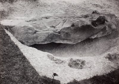 Kivi upotettu ruohoon tekijältä Paul Nash