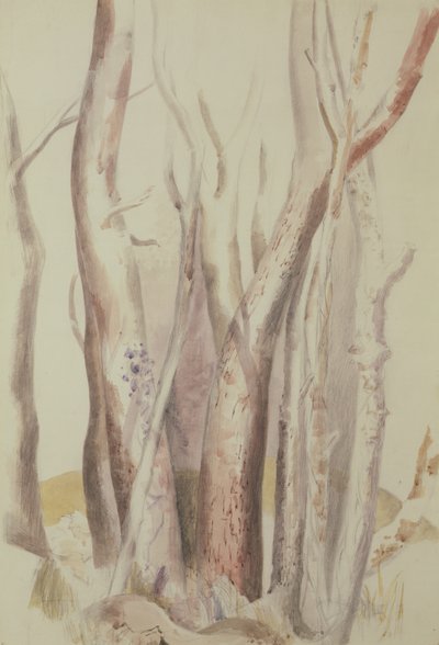 Metsäisen maiseman tutkimus tekijältä Paul Nash