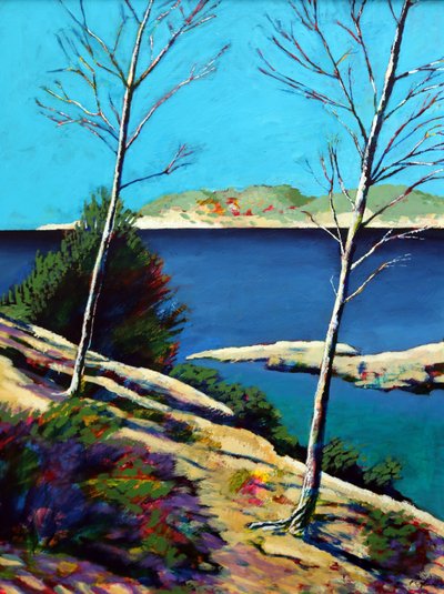 Peguera (akryylia levyllä) tekijältä Paul Powis