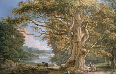 Vanha pyökkipuu tekijältä Paul Sandby