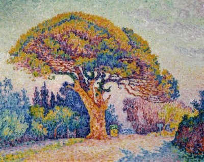 Signac, Pinie von Bertaud tekijältä Paul Signac