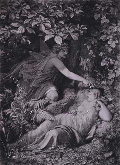 Kohtaus Shakespearen Kesäyön unelmasta (näytös IV, kohtaus 1) (litho) tekijältä Friedrich Paul Thumann