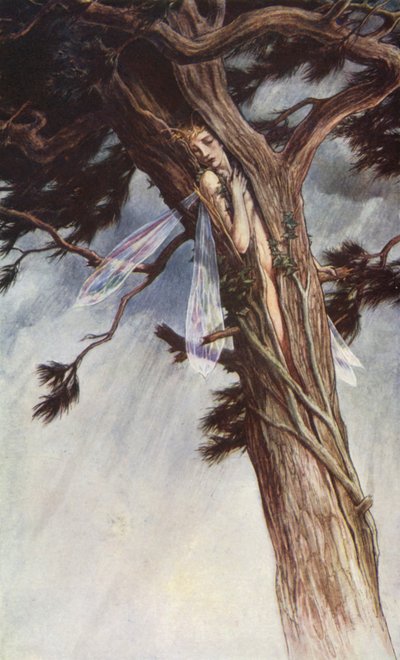 William Shakespearen Myrsky, näytös I, kohtaus 2 (värilitho) tekijältä Paul Vincent Woodroffe