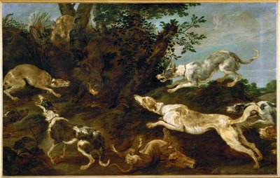 Villisikajahti tekijältä Paul de Vos