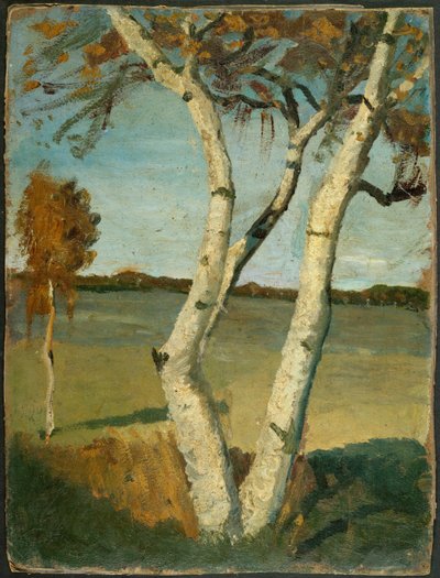 Kaksirunkoinen koivu maiseman edessä tekijältä Paula Modersohn-Becker