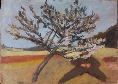 Mann unter einem blühenden Baum liegend tekijältä Paula Modersohn-Becker