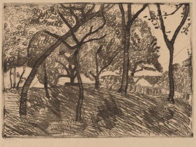Maisema puiden kanssa tekijältä Paula Modersohn Becker