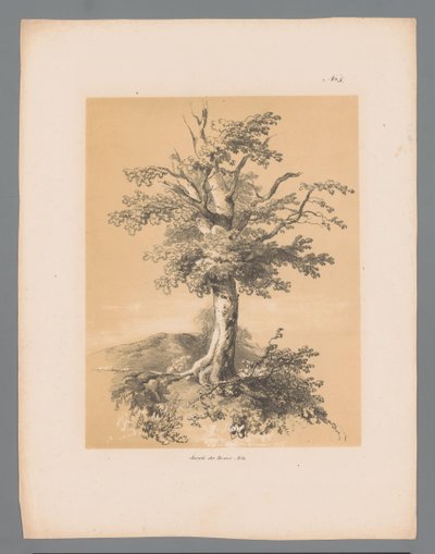 Puomi Paulus Lautersin maalaukselliset kasvot (sarjan nimi) Etrennes pittoresques pour 1839, kirjoittanut Lauters (sarjan nimi) tekijältä Paulus Lauters