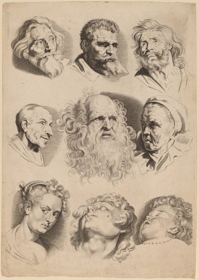 Yhdeksän päätä tekijältä Paulus Pontius after Sir Peter Paul Rubens