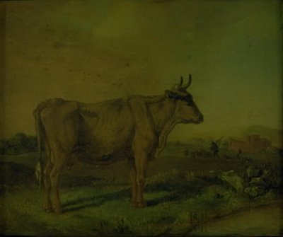 Lehmä tekijältä Paulus Potter