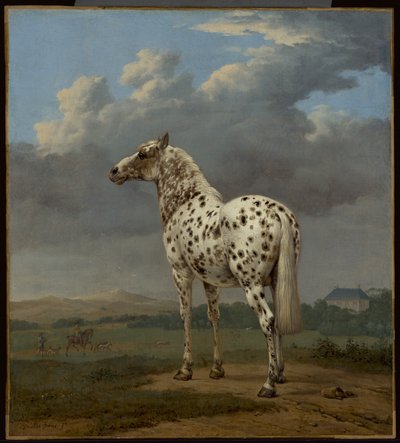 Piebald-hevonen tekijältä Paulus Potter