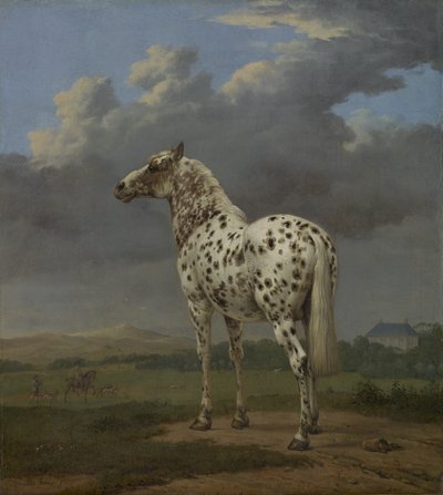 "Piebald"-hevonen, n. 1650-1650 (öljy kankaalle) tekijältä Paulus Potter