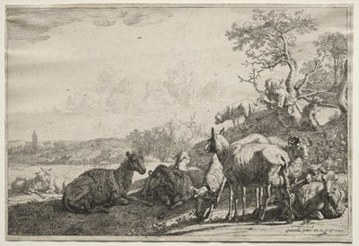 Paimen, 1644. tekijältä Paulus Potter